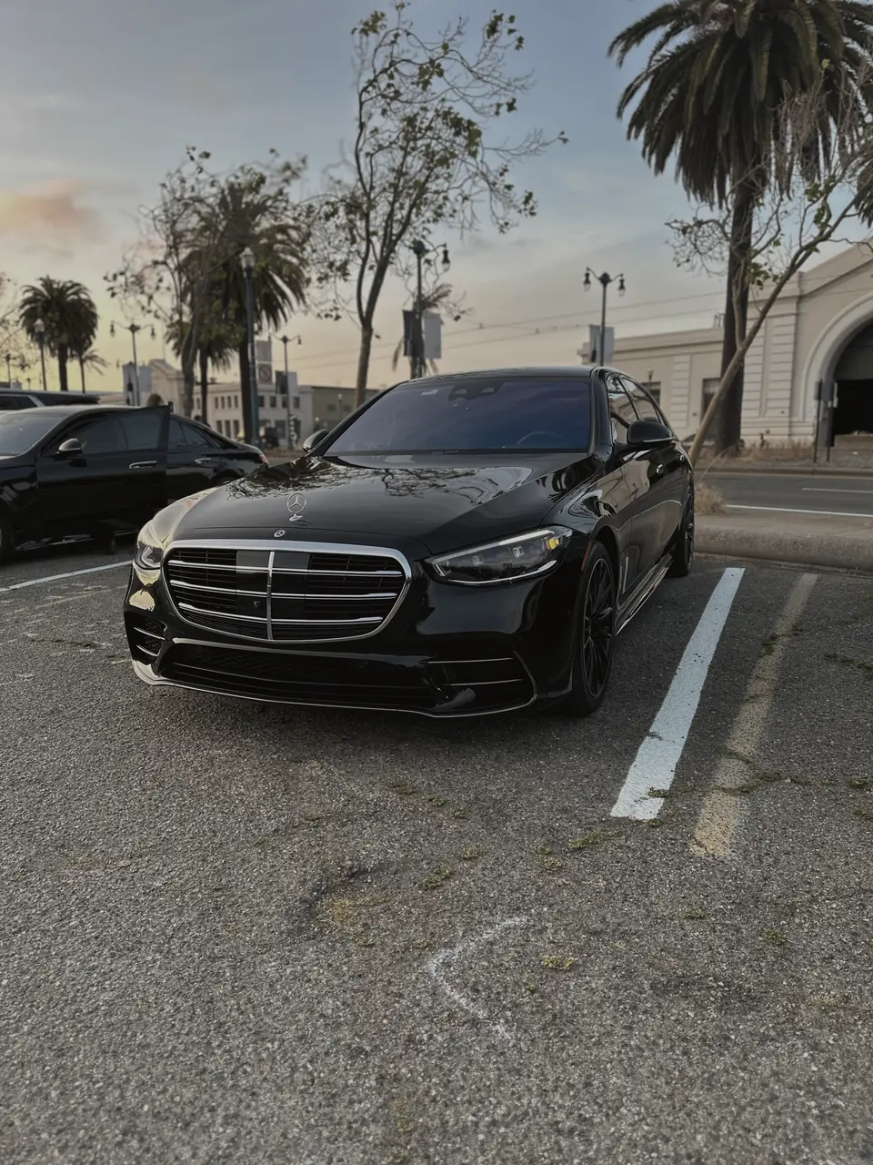 Mercedes S-Class beside palms and a waterfront