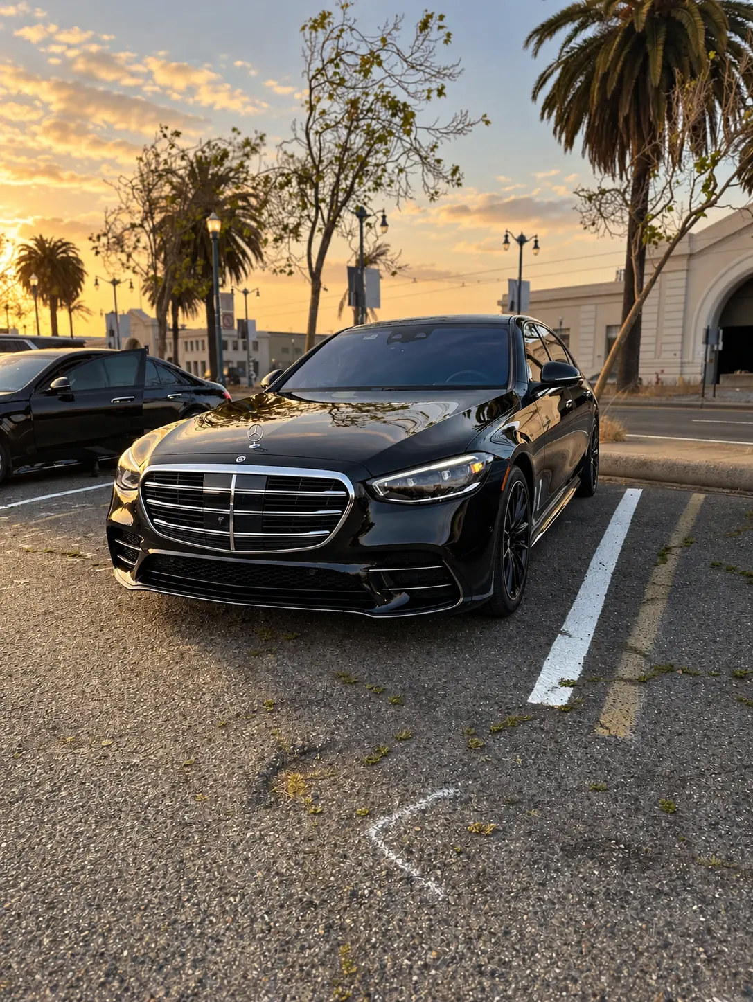 Mercedes S-Class beside palms and a waterfront