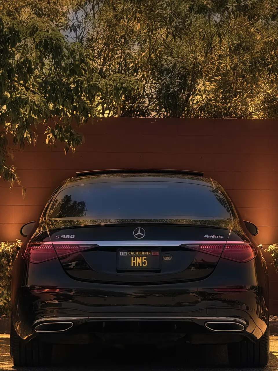 Rear view of a black Mercedes S-Class by a red wall, trees above it